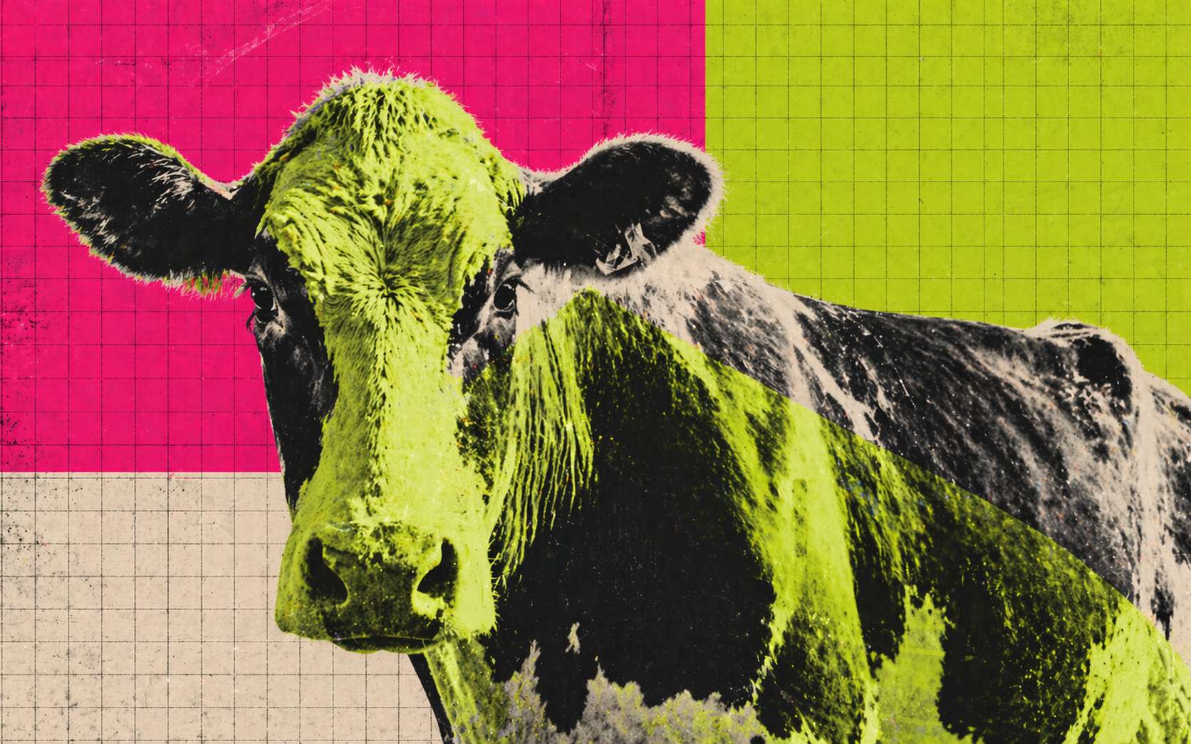 Le constat est accablant : le greenwashing serait partout dans l'élevage, révèle une étude