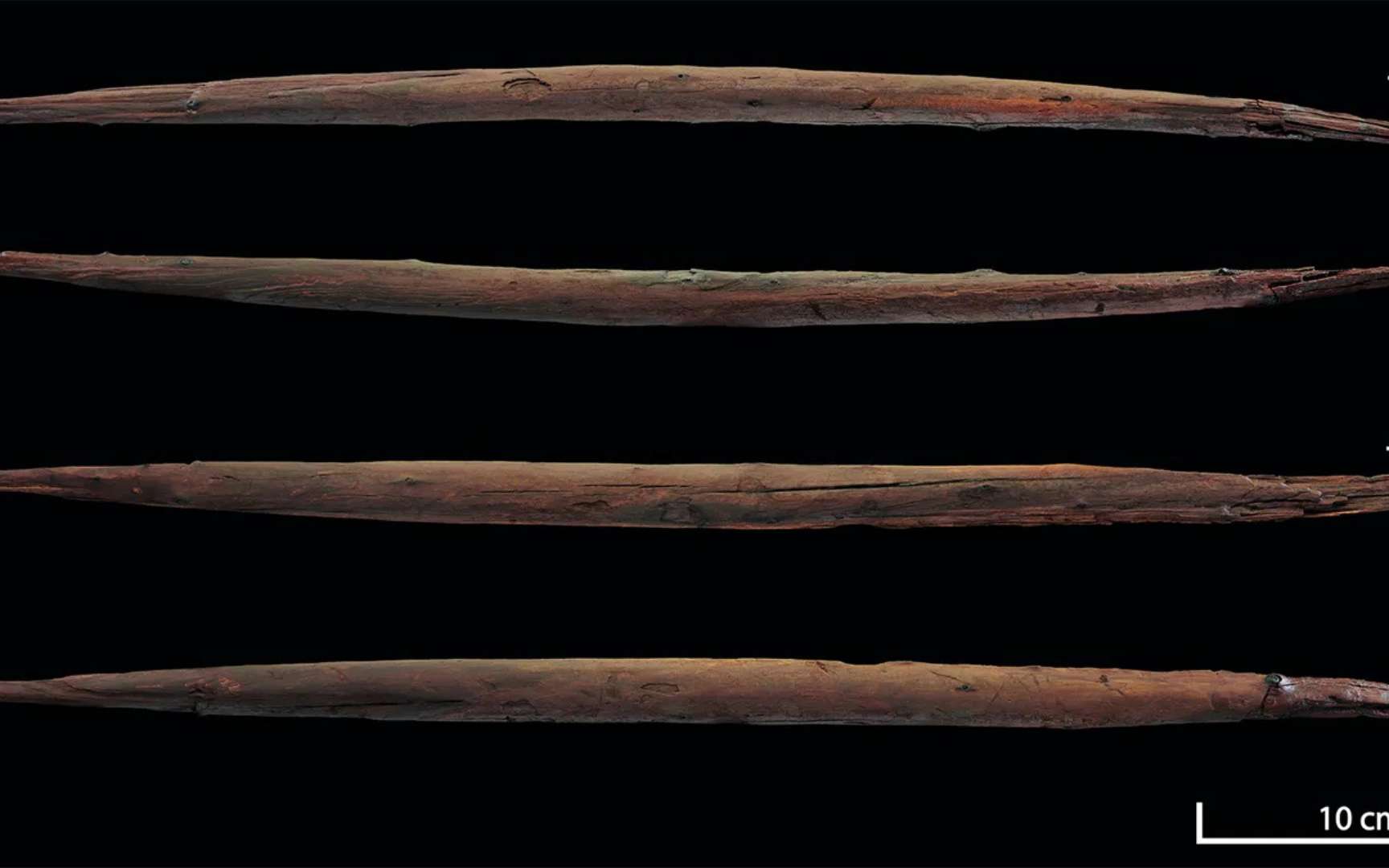 Plus de 400 000 ans avant nous, cette arme révèle de quoi nos lointains ancêtres étaient déjà capables