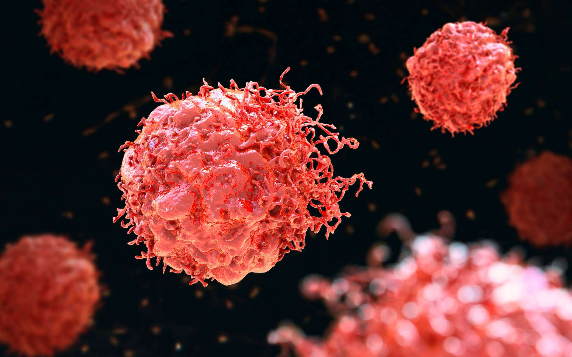 Ces cellules censées nous protéger pourraient, en réalité, aider les tumeurs à se développer