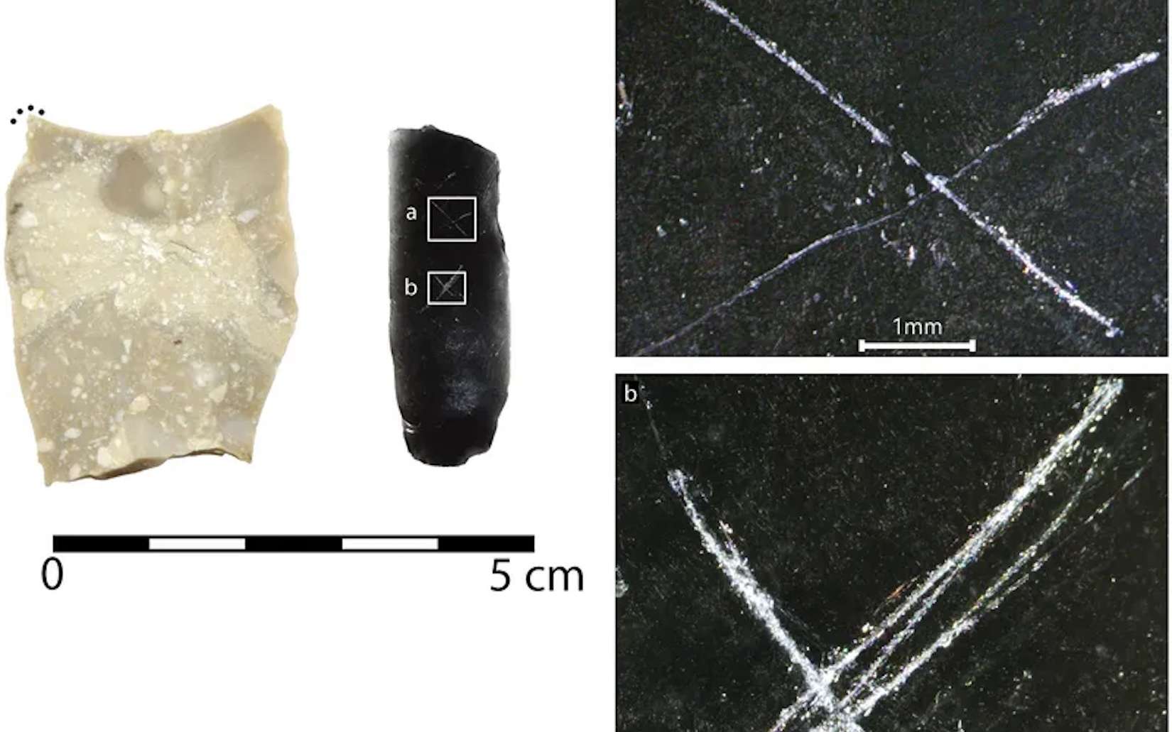 Ces flèches vieilles de 9 000 ans portent un mystérieux message que personne ne sait lire