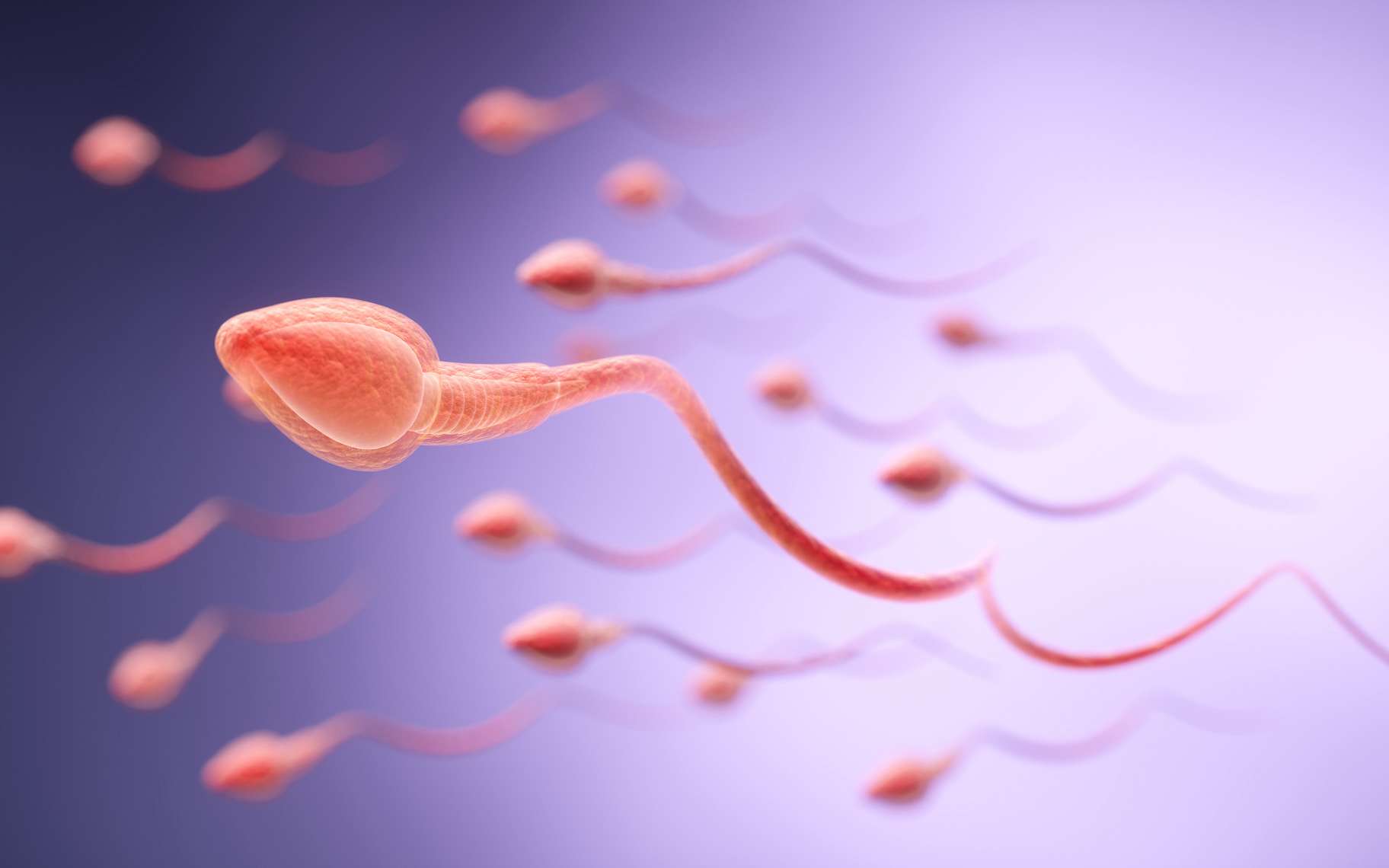 La fertilité masculine change au fil des saisons : ce que révèle une grande étude internationale