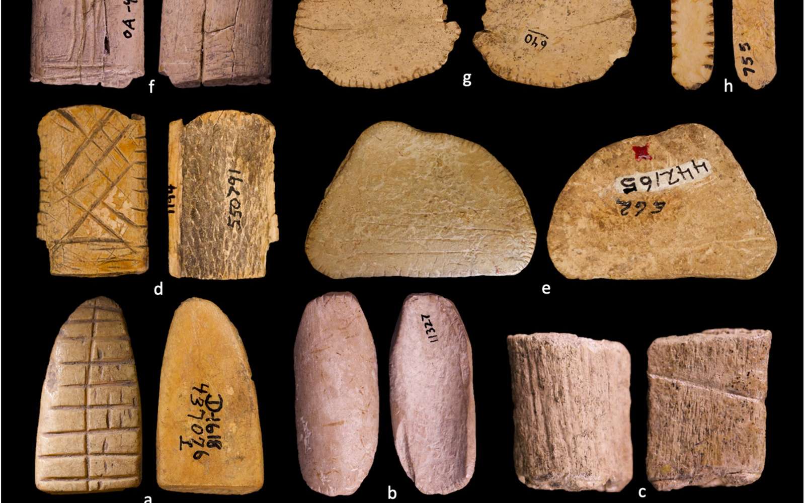 On pariait déjà à l'époque préhistorique : des dés plats à deux faces retrouvés sur des dizaines de sites natifs américains