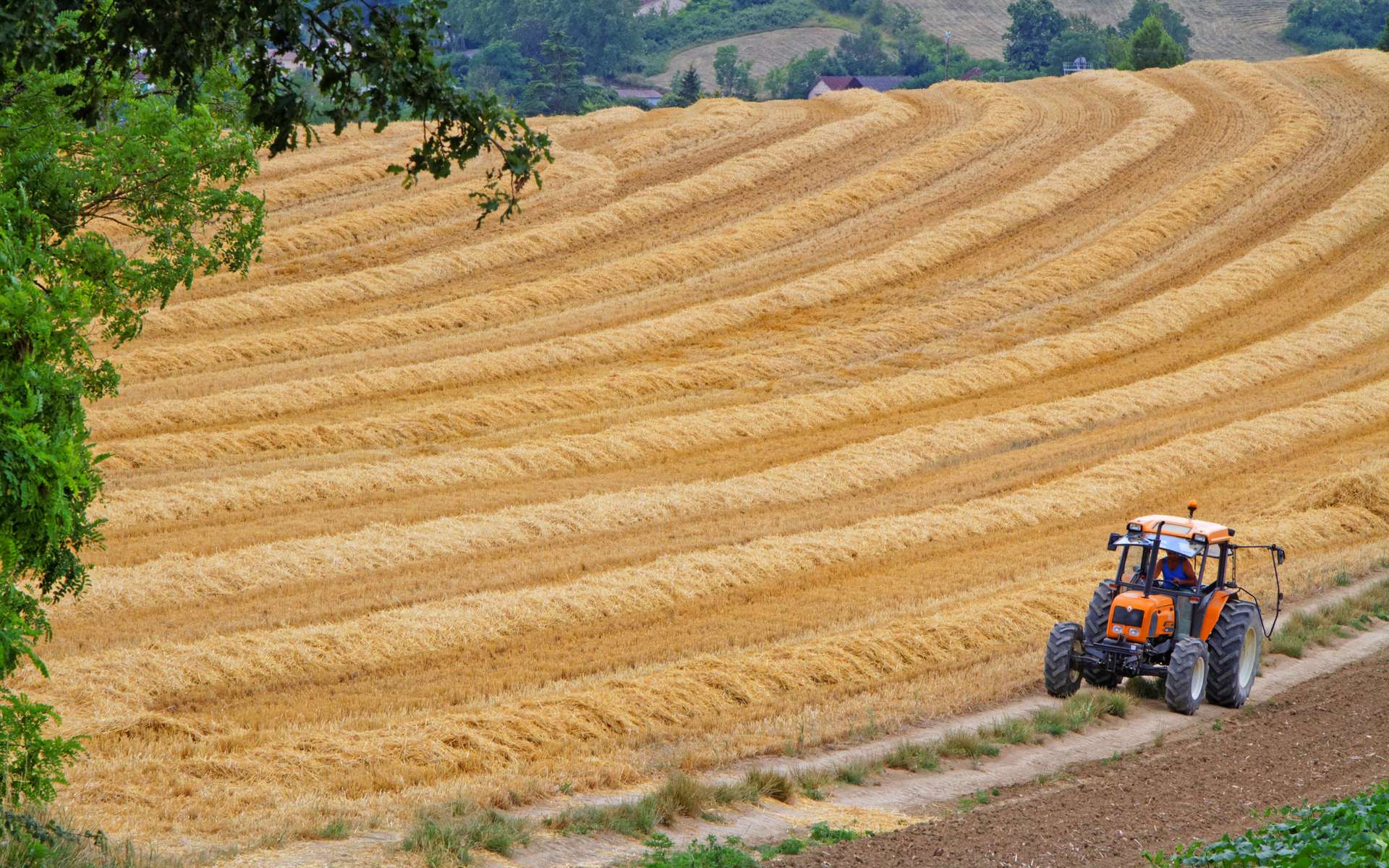 Un choc se prépare : la valeur des terres agricoles va baisser de 60 % dans ces régions au cours des prochaines décennies