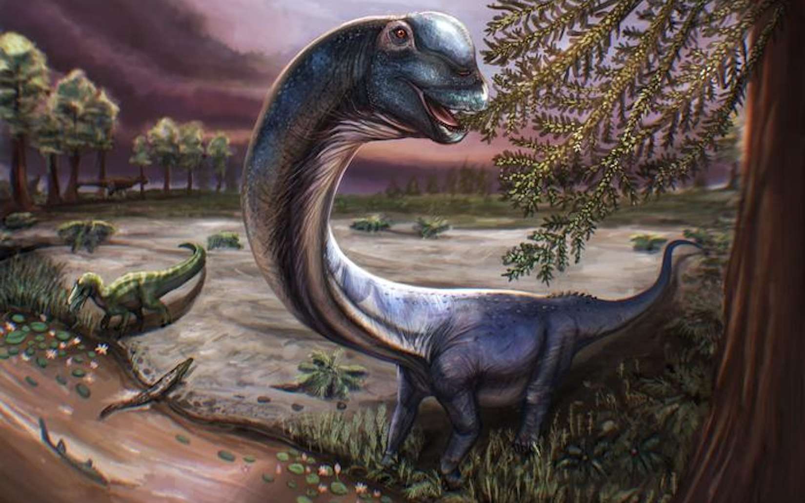 27 mètres, 30 tonnes : le nagatitan, « dernier titan de Thaïlande », est l'un des plus grands dinosaures découvert en Asie