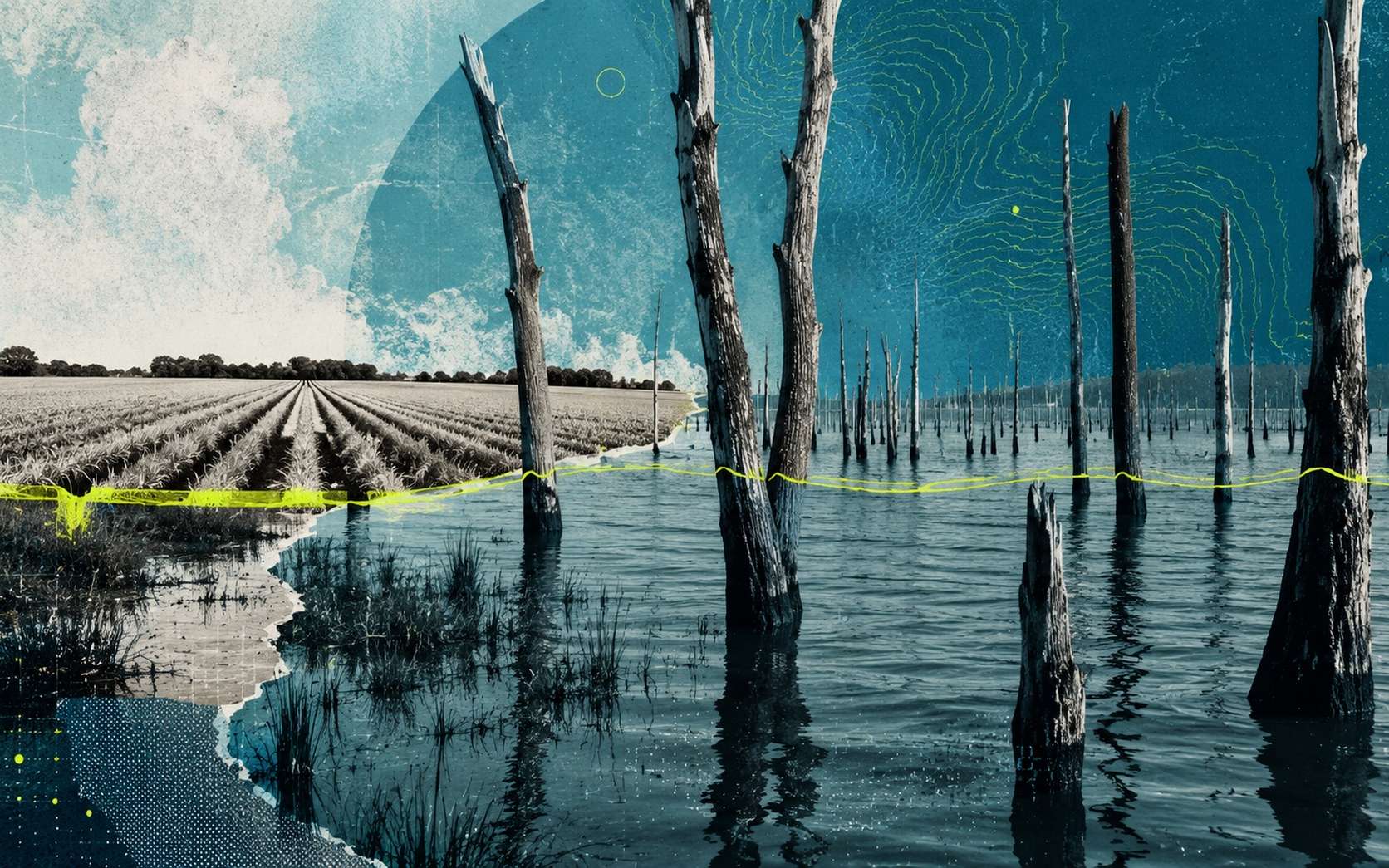 La mer monte de plus en plus vite : les « forêts fantômes » sur les côtes révèlent un basculement déjà en cours
