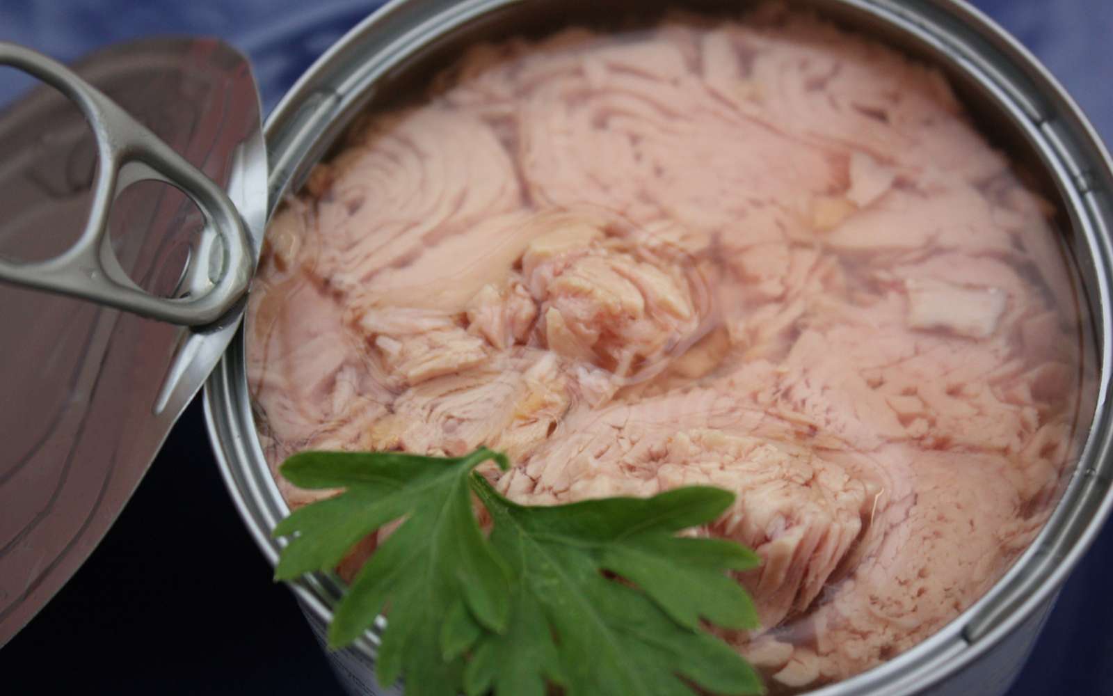 Cette solution naturelle capte le mercure du thon… et change tout pour votre santé