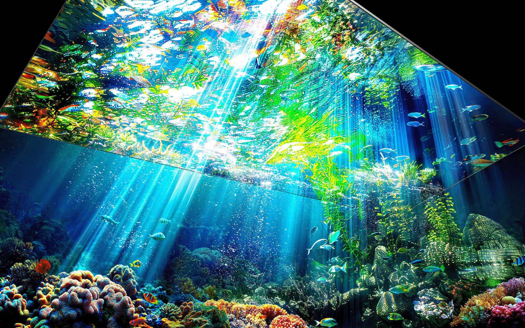 CES 2026 : ces deux technologies d’écran pourraient rendre obsolètes tous les modèles actuels