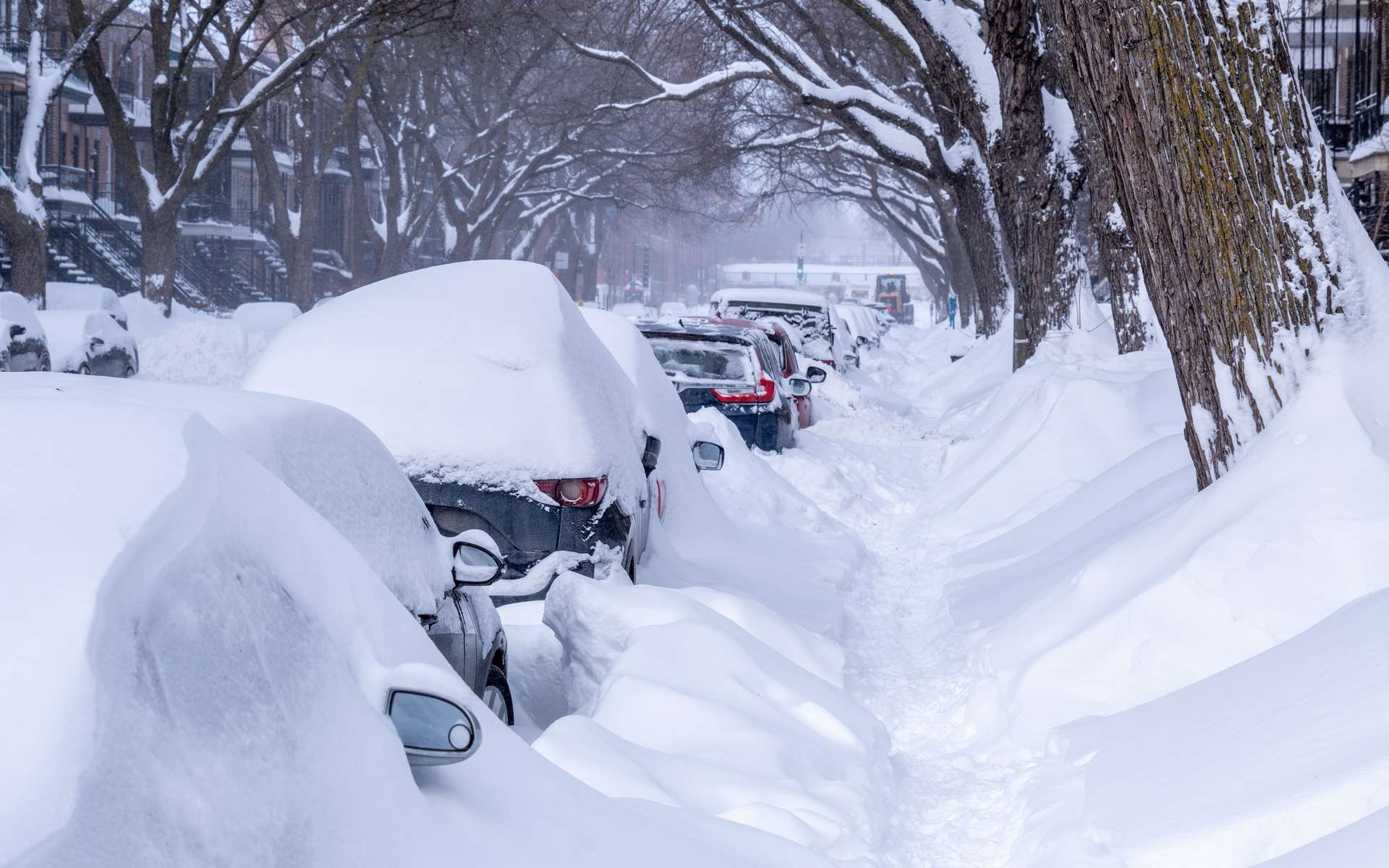 Neige monstrueuse en Russie, vortex polaire aux États-Unis, Europe enneigée : l'hémisphère nord bascule-t-il vers une nouvelle ère ?