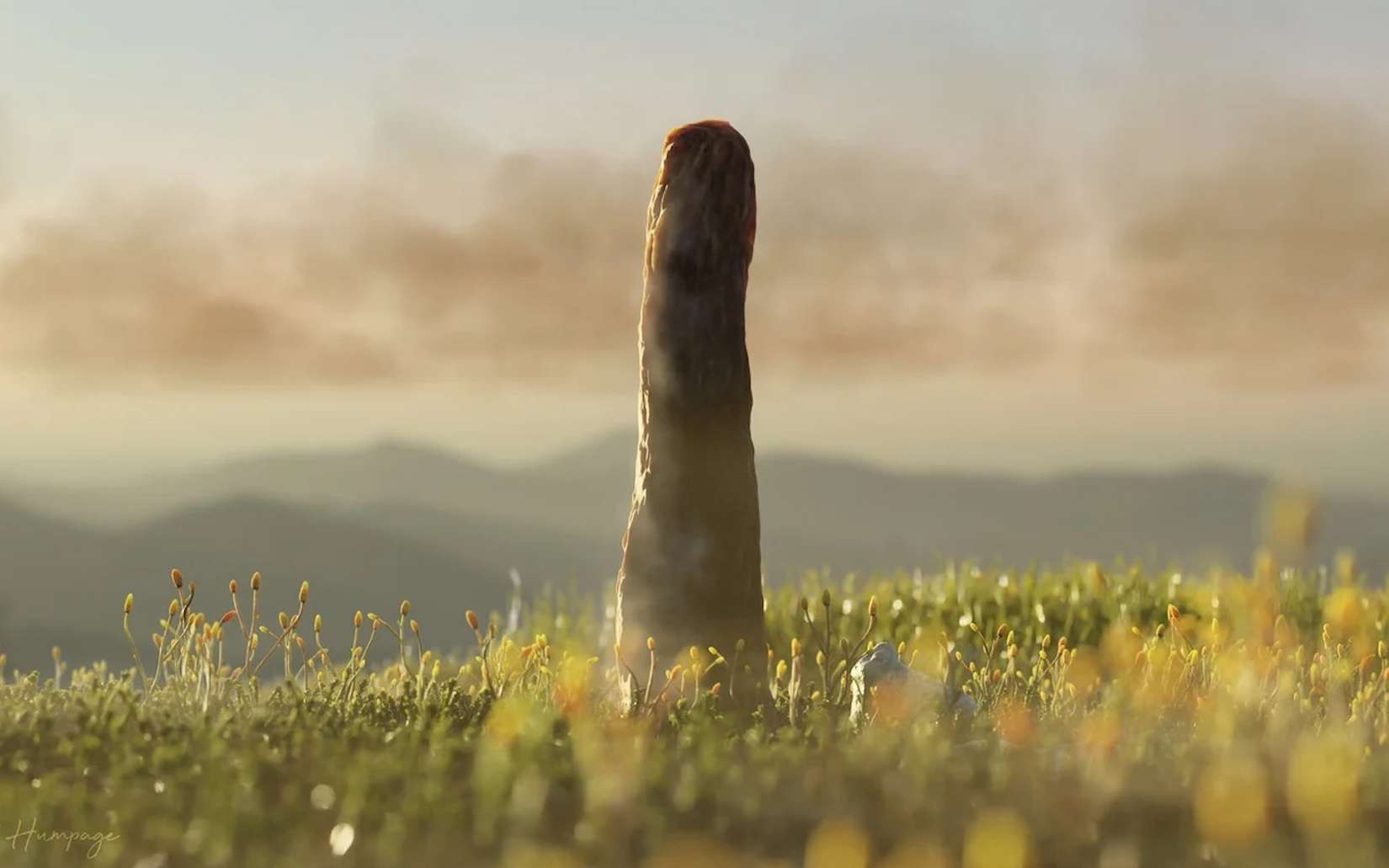 Avant les arbres, la Terre abritait une forme de vie géante qui semble venue d’un autre monde