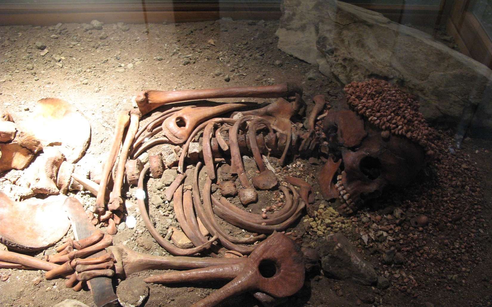 Ce qu’a vécu cet adolescent il y a 28 000 ans bouleverse les chercheurs