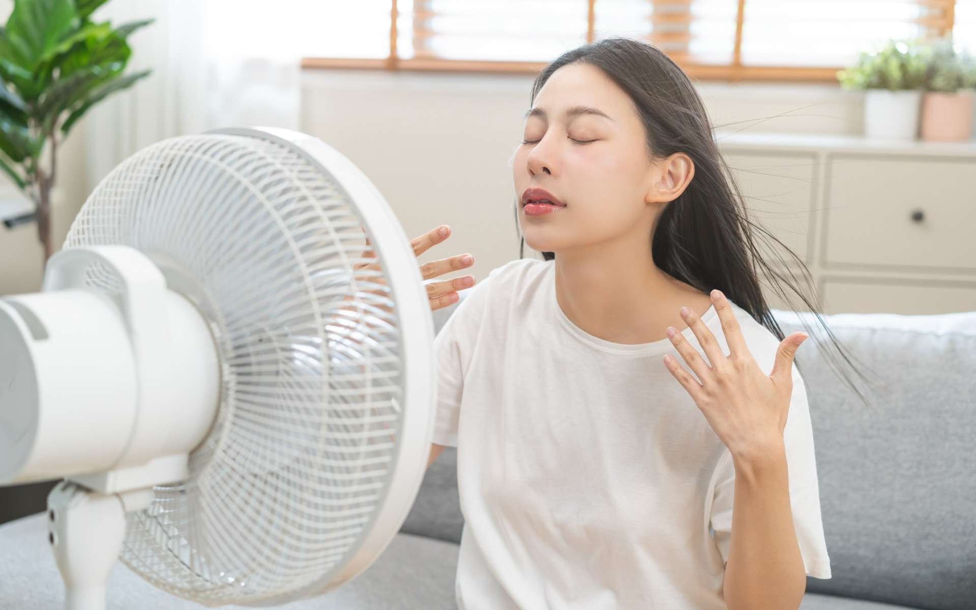 Canicule : les ventilateurs sont-ils inutiles ? Voici les recommandations des spécialistes