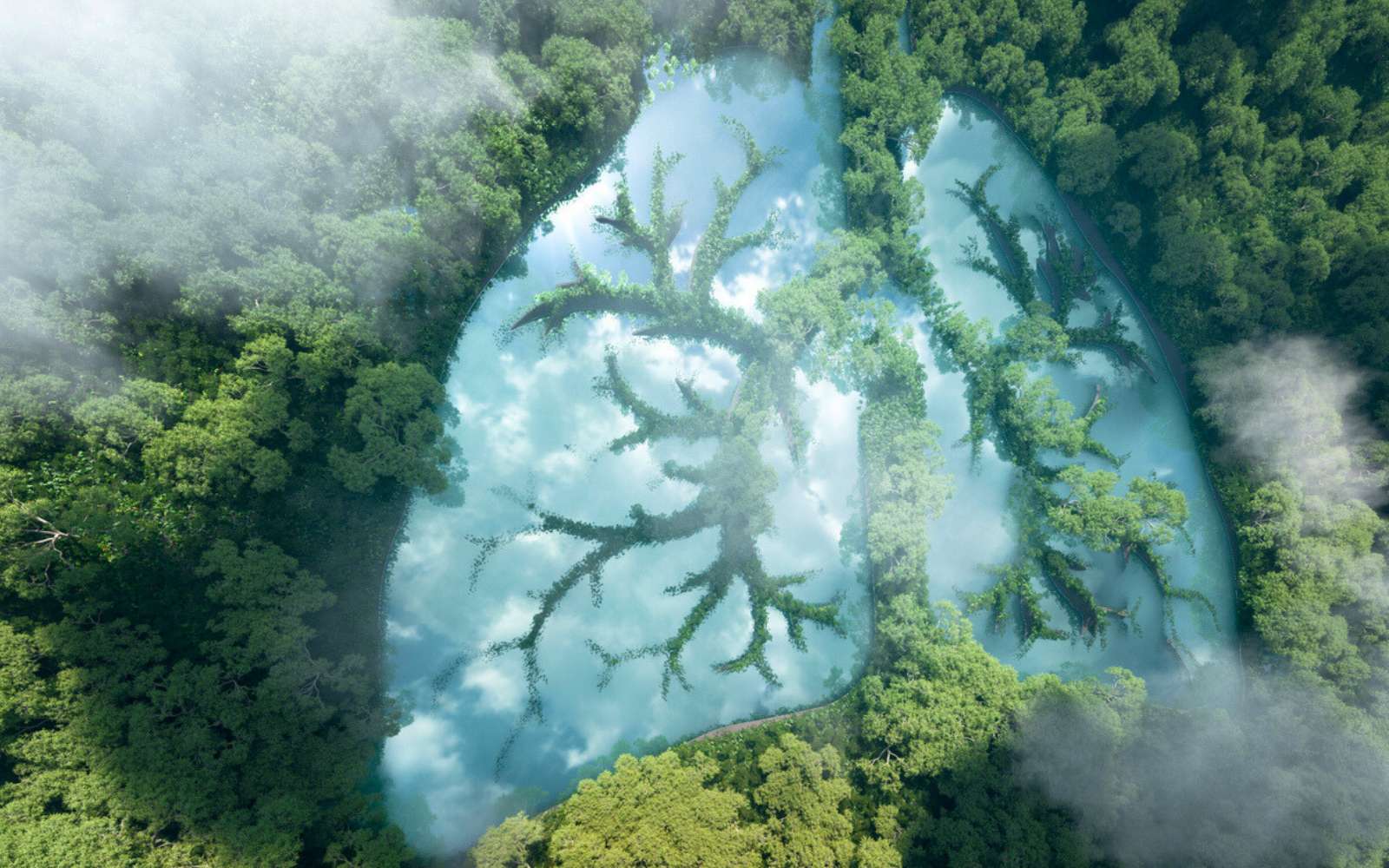 Capturer 20 milliards de tonnes de CO₂ par an : une solution crédible contre le réchauffement climatique ?