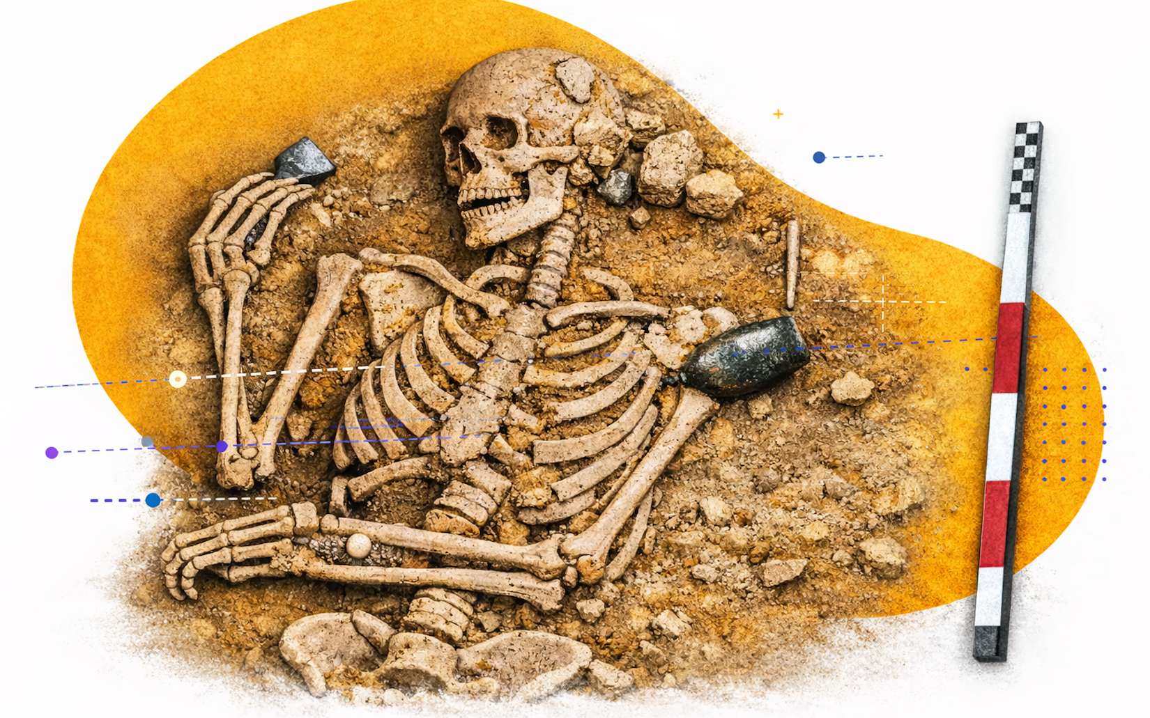 On pensait connaître la place des femmes au Néolithique. Ces squelettes découverts en Hongrie disent autre chose...