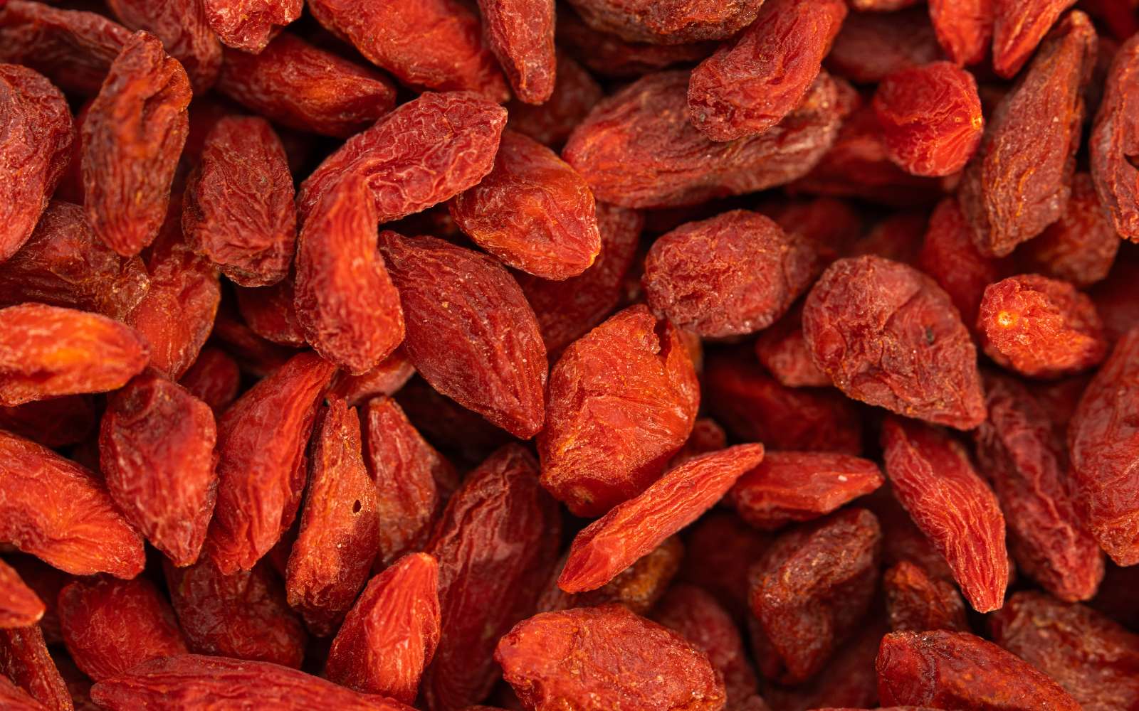 La plante de la semaine : des baies de goji dans son jardin