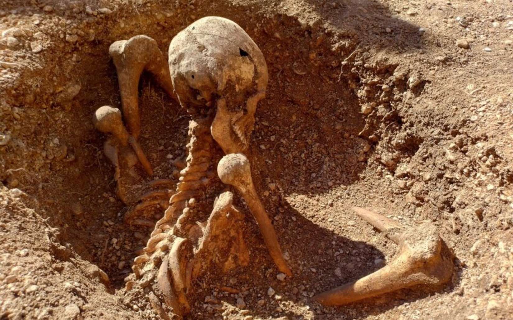 Des Gaulois enterrés dans une posture étrange découverts en plein Dijon : le mystère s’épaissit