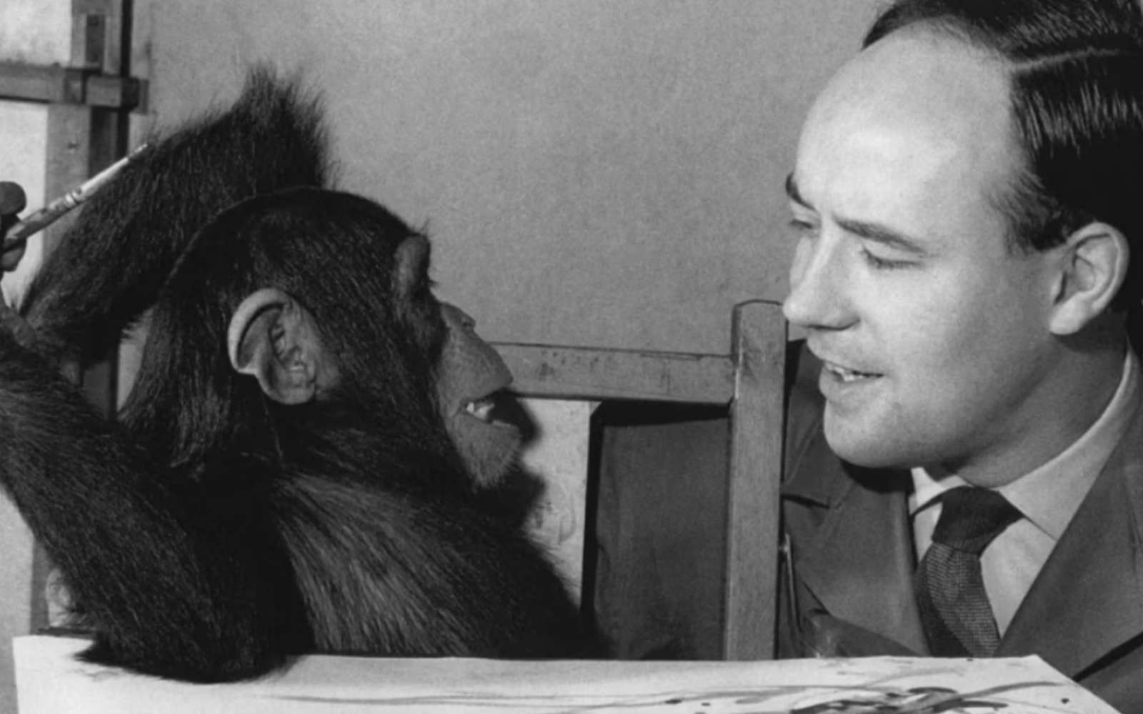 Ce chimpanzé a peint 400 toiles… et Picasso en a même acheté