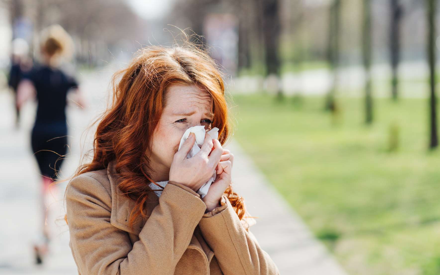 Le matcha pourrait calmer certains symptômes du rhume des foins, révèle une étude japonaise