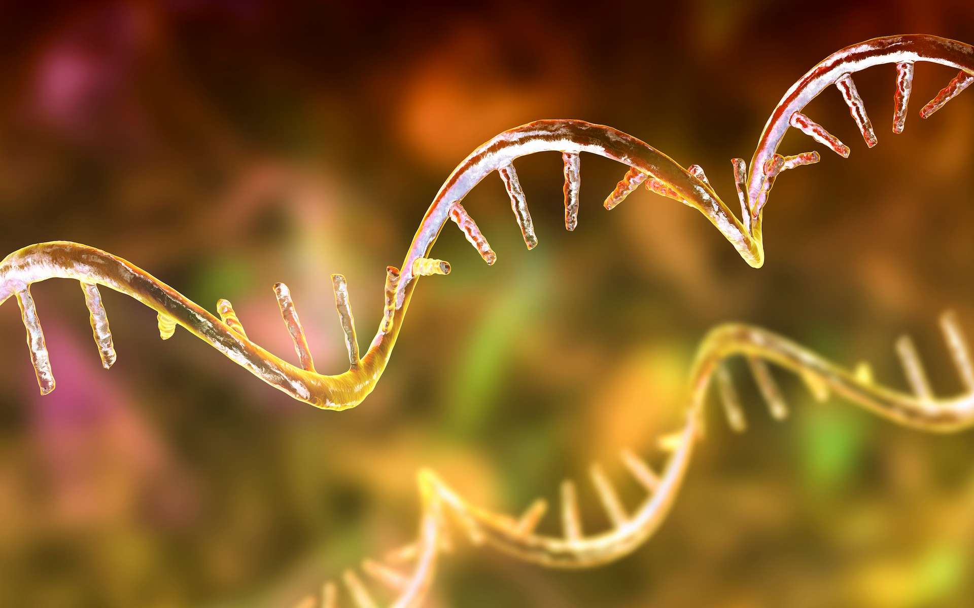 Cancer : une nouvelle génération de thérapies à ARNm capable de « faire le tri » entre cellules malades et cellules saines