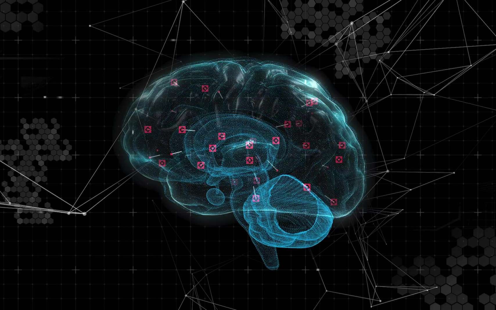 Pourquoi certaines personnes apprennent plus vite ? Une étude révèle le rôle clé des connexions dans le cerveau