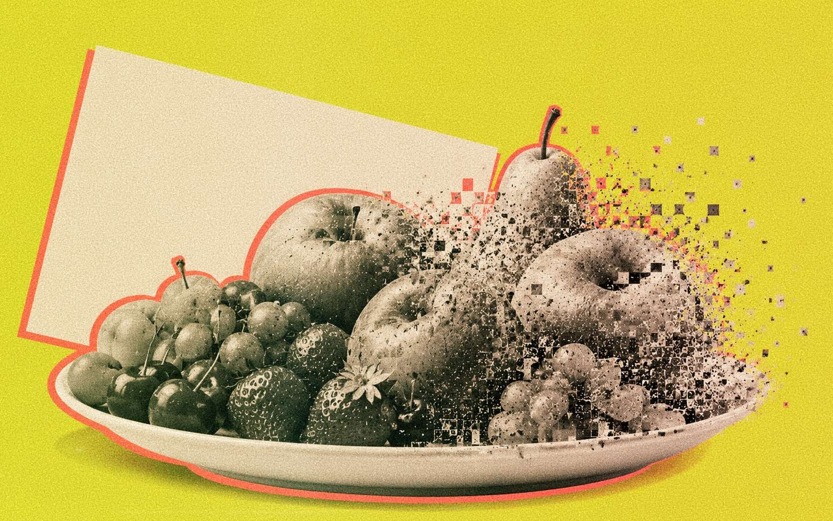 Notre santé est en jeu : une étude relie clairement disparition des insectes et santé humaine