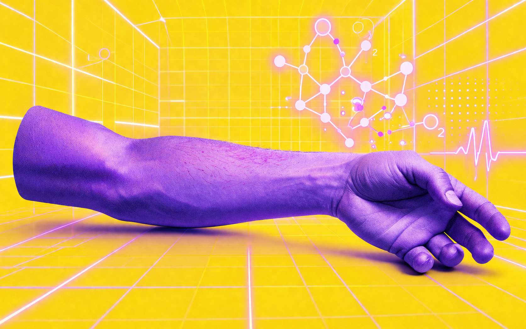 Ils ont trouvé pourquoi les humains ne régénèrent pas leurs membres... et la réponse surprend