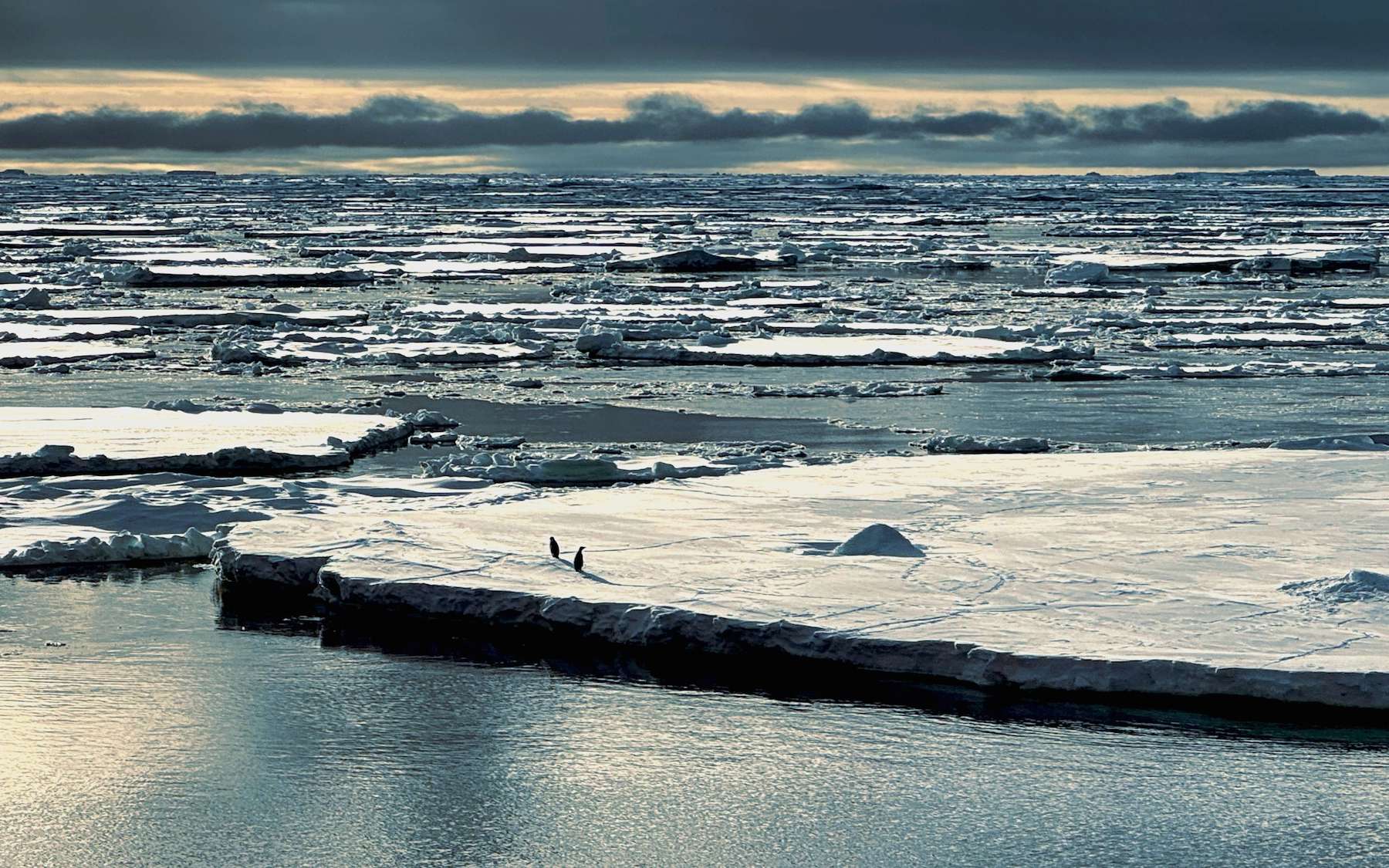 Les scientifiques alertent : quelque chose a basculé en Antarctique... et cela pourrait tout accélérer