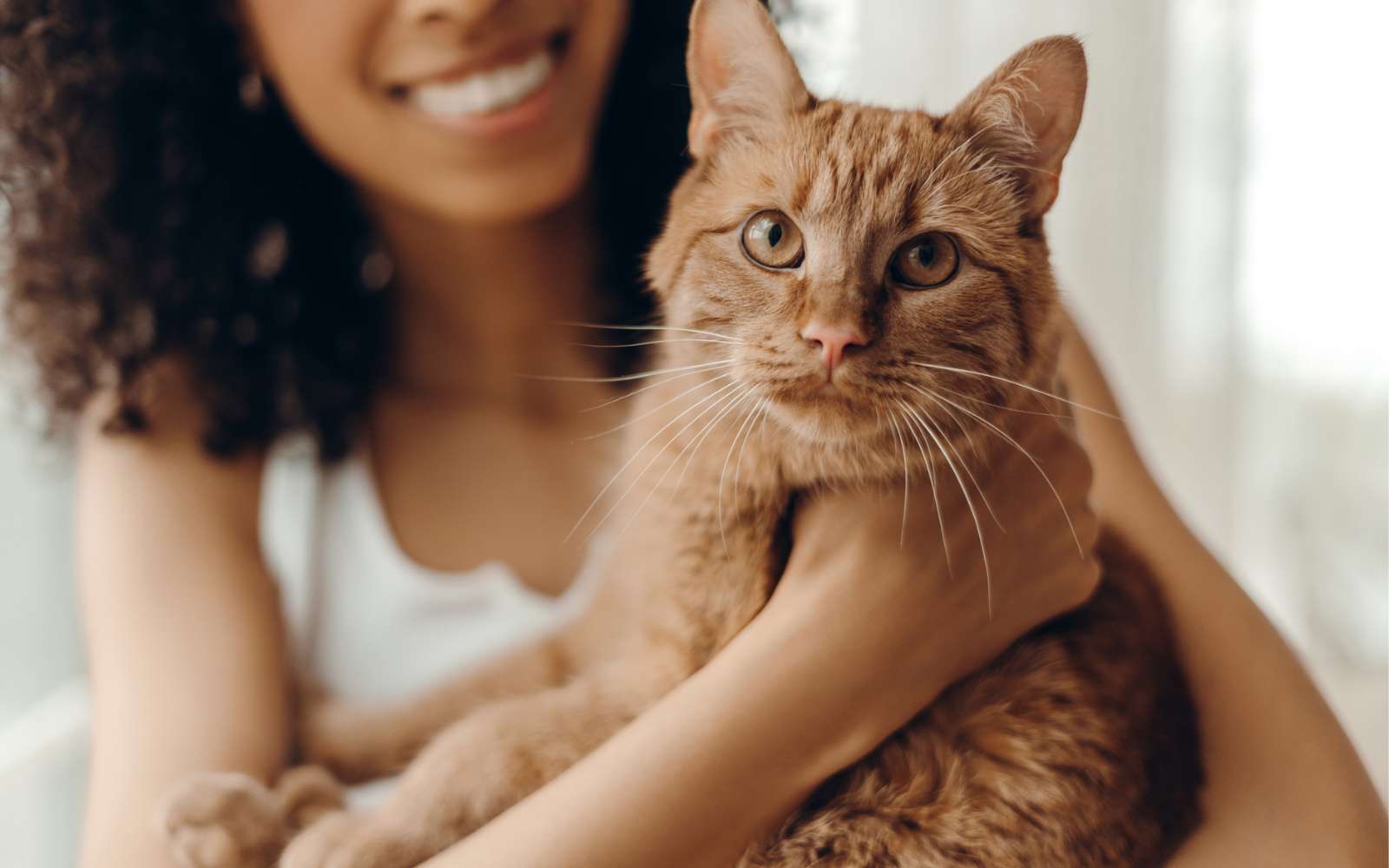 Chats et schizophrénie : ce lien surprenant que les scientifiques tentent d'expliquer