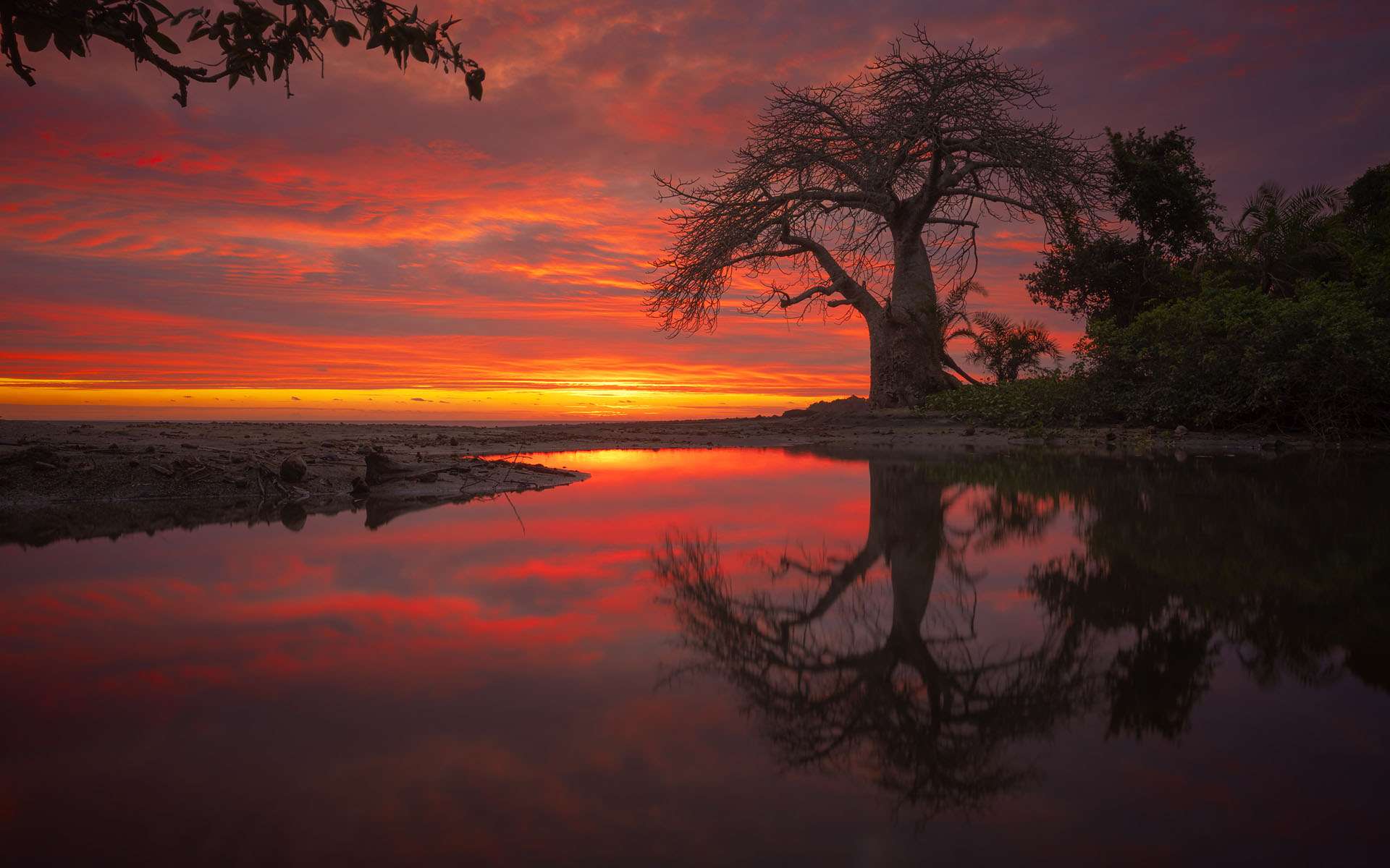 Escales : et si lire devenait une expérience immersive et musicale ?