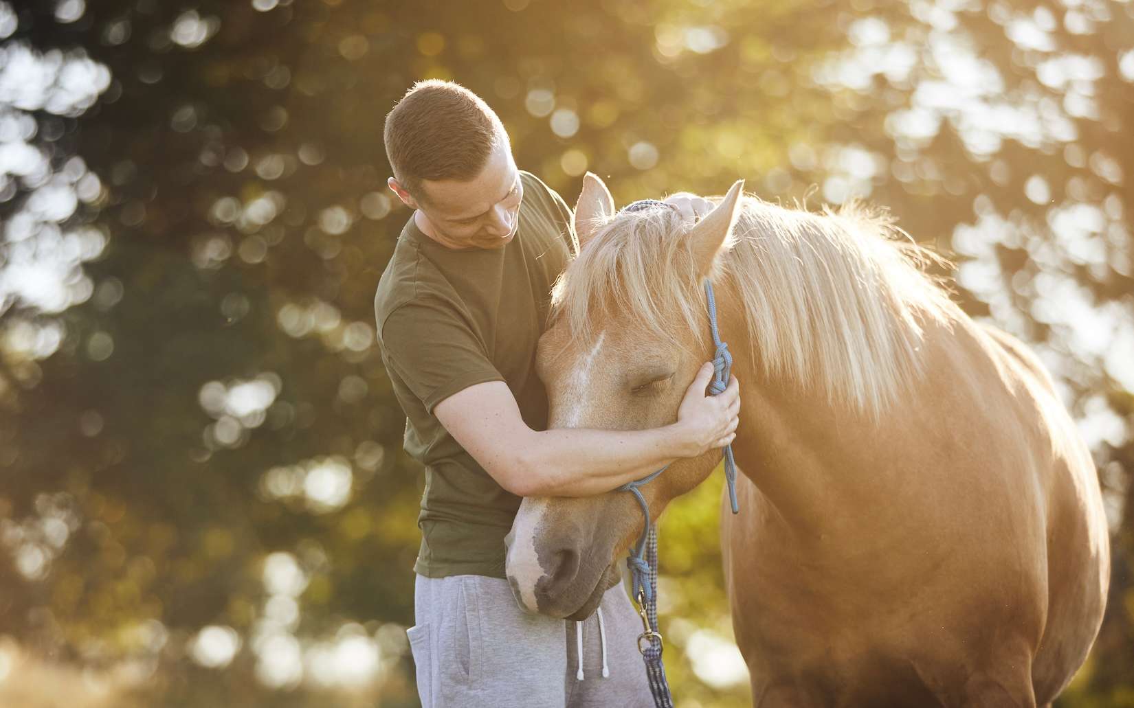 Des chercheurs apprennent des chevaux à « parler » : et s’ils pouvaient enfin nous dire ce qu’ils ressentent ?