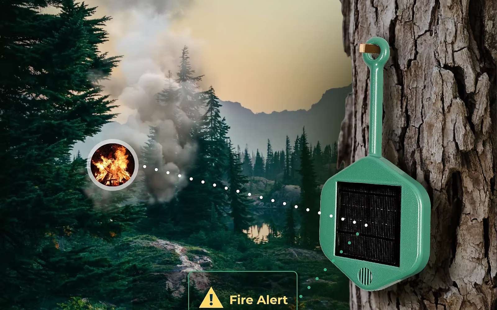 Le Gard teste une nouvelle façon de traquer les incendies : 120 capteurs cachés au cœur de la forêt
