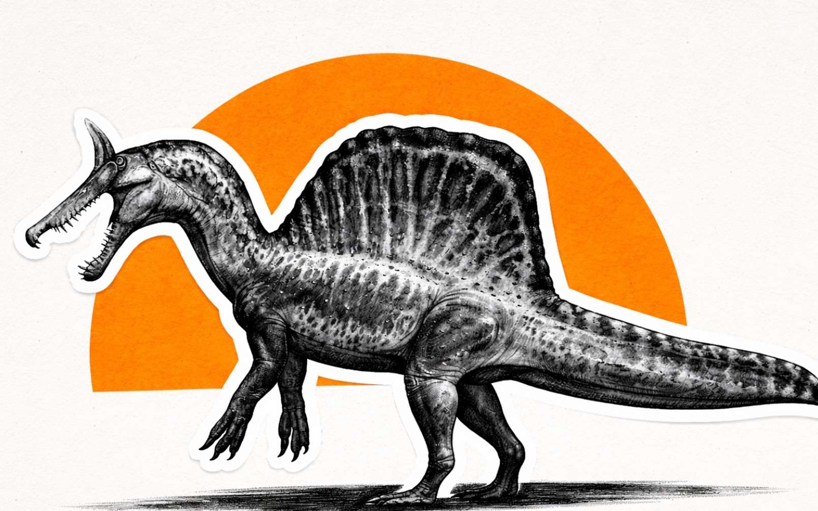 Découvert au cœur du désert, ce Spinosaurus remet en cause l’idée du nageur redoutable