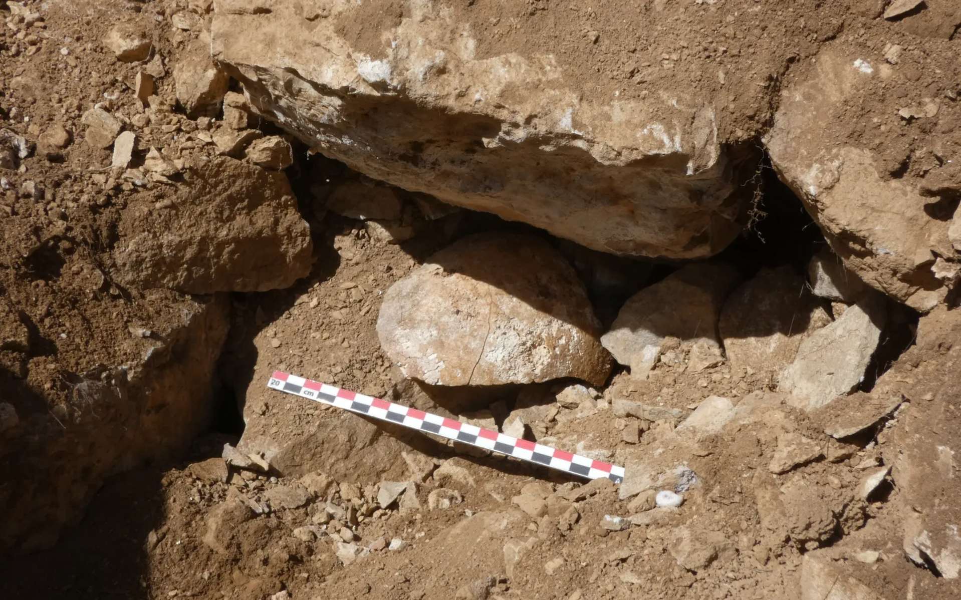 Les Romains maîtrisaient l'art de la terreur : cette découverte pourrait être l'une de leurs mises en scène les plus extrêmes