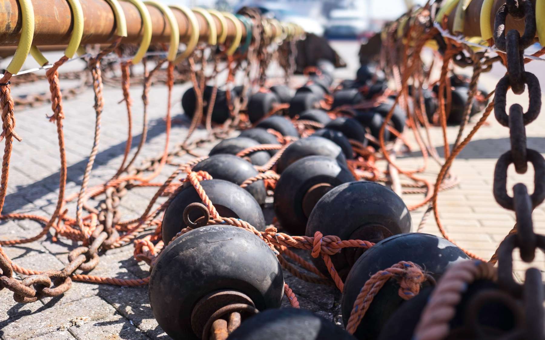 Le chalutage de fond coûte 16 milliards à l’Europe… pour seulement 180 millions de profit !