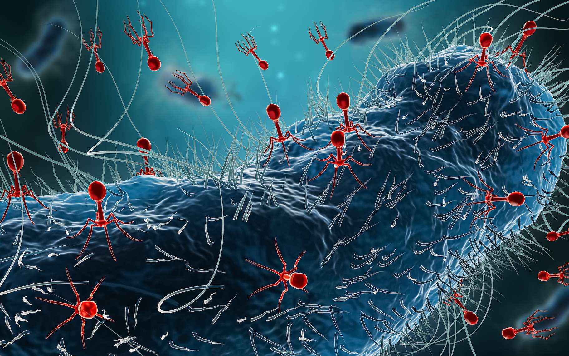 Cancer colorectal : des virus cachés dans nos bactéries pourraient changer la donne