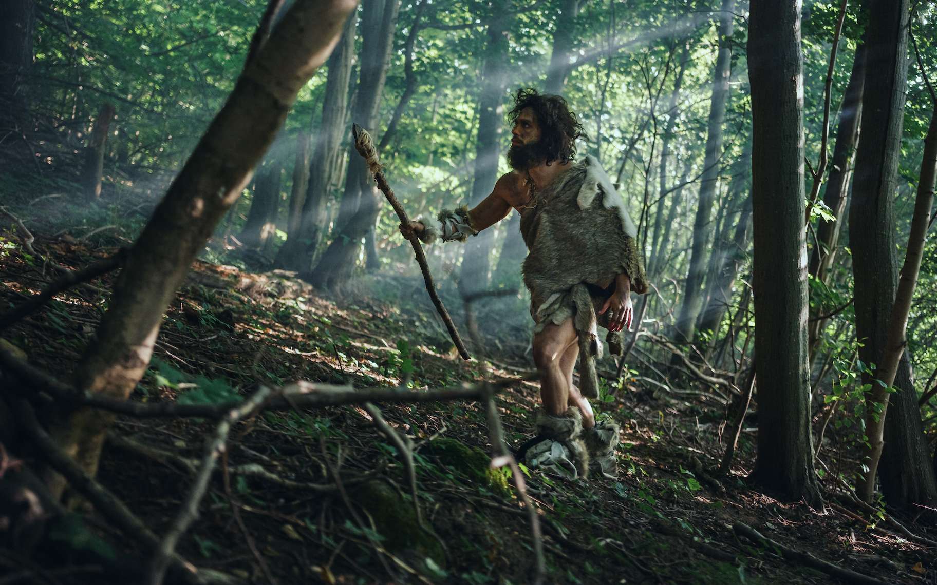 Ils utilisaient déjà des flèches empoisonnées il y a 60 000 ans : la preuve qui bouleverse notre vision de l’humanité