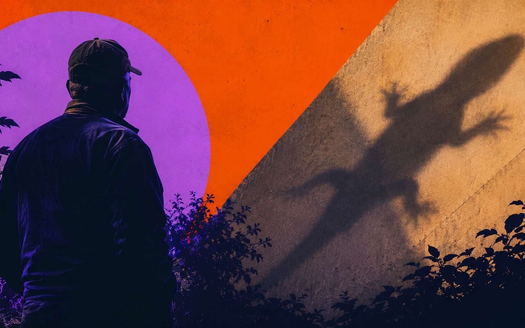 Il construisait un mur dans son jardin... quand une silhouette vieille de 240 millions d'années apparaît