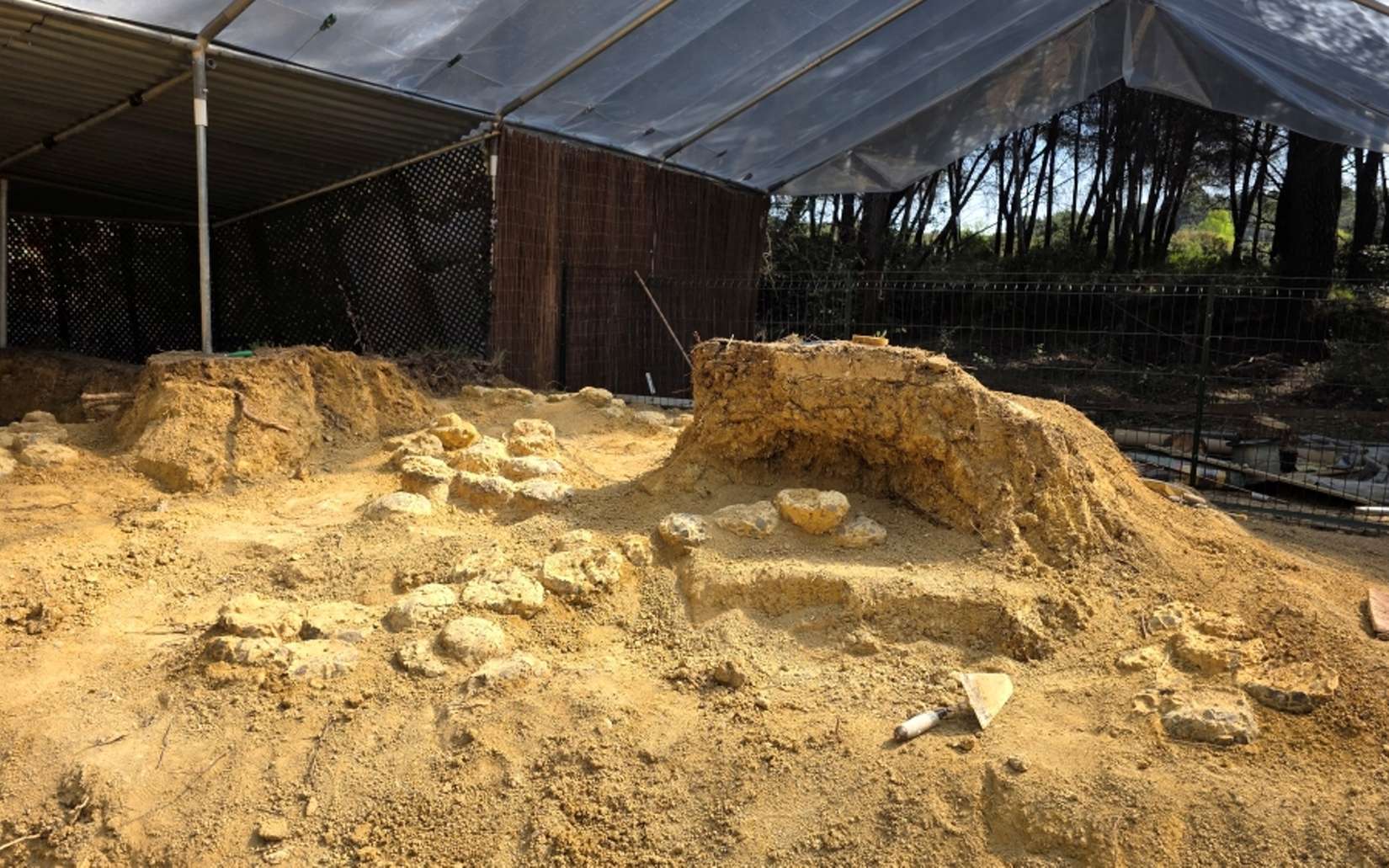 « Je n’avais jamais vu ça » : un paléontologue raconte la découverte d’un site record de plus de 100 œufs de dinosaures dans le sud de la France