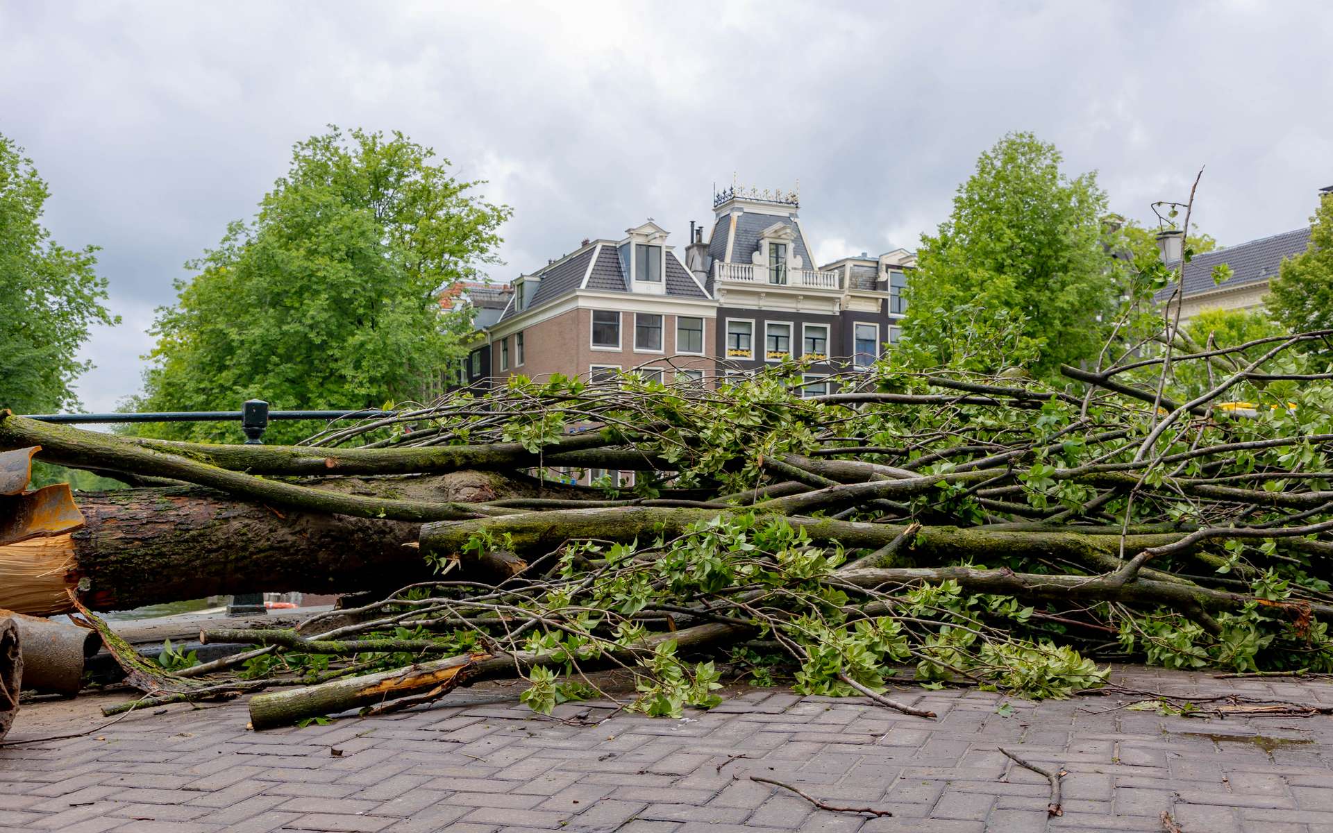 Tempête Nils : ce que les scientifiques viennent de découvrir change la lecture du phénomène