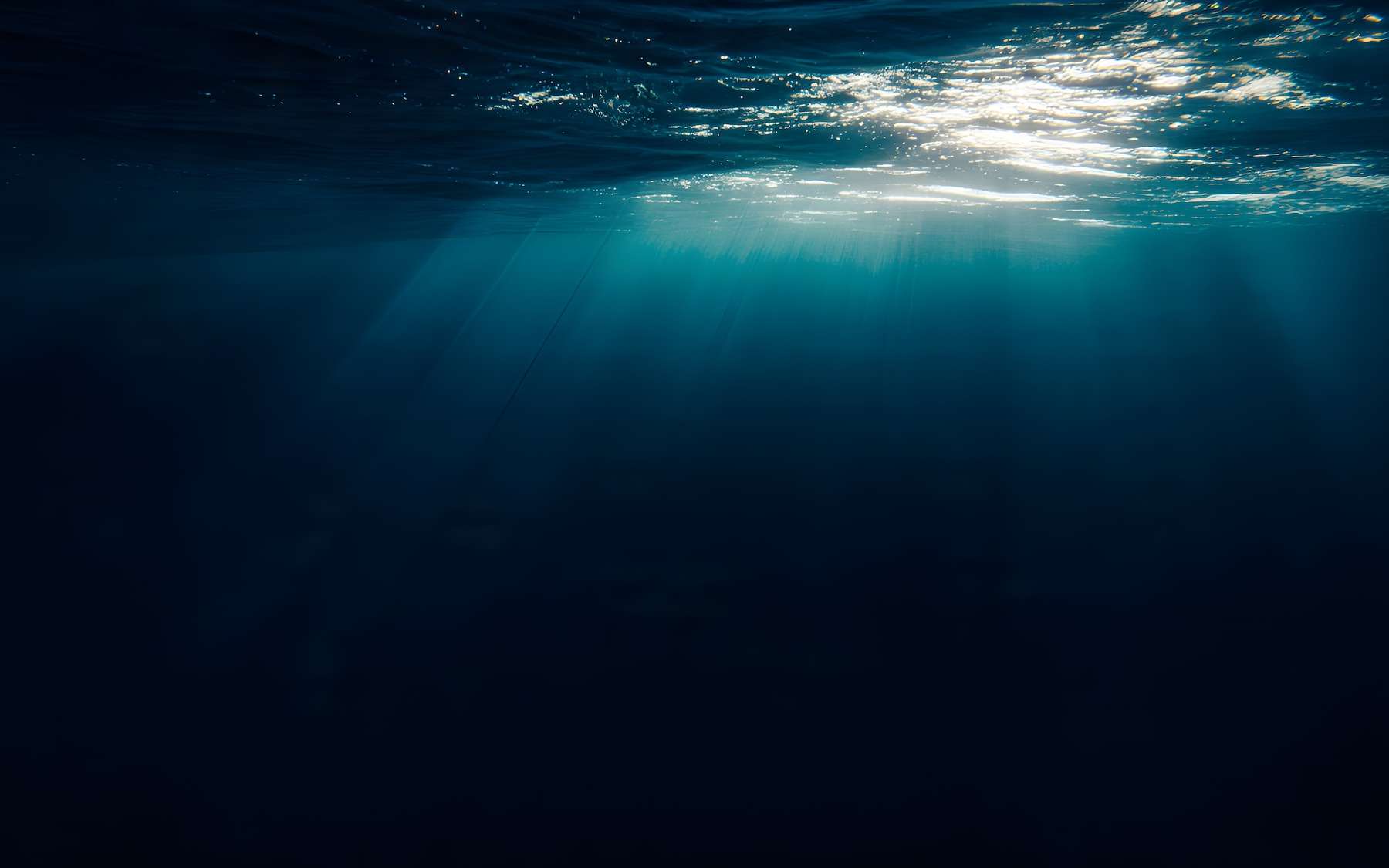 Ce qui se passe dans l'océan profond pourrait accélérer la montée des mers