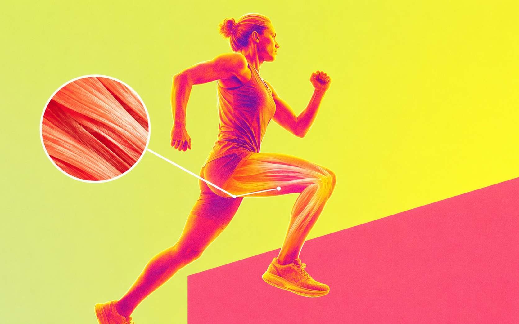 « Cela a dépassé nos attentes » : des chercheurs découvrent comment renforcer la réparation des muscles avec l'âge