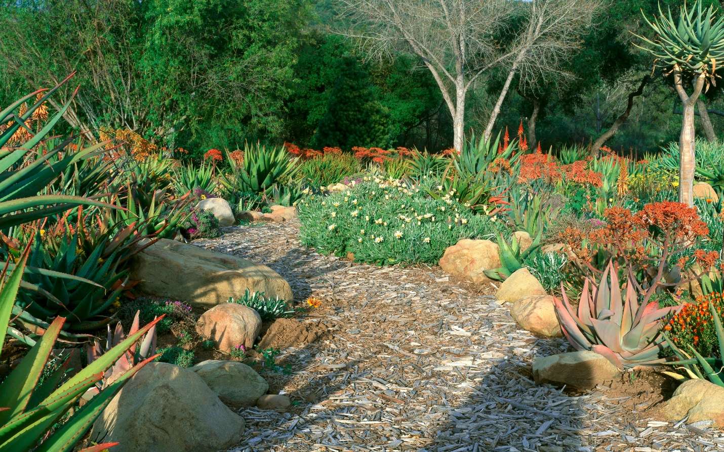 Voici le jardin du futur : le xéropaysagisme ou le secret d’un extérieur magnifique malgré les étés secs