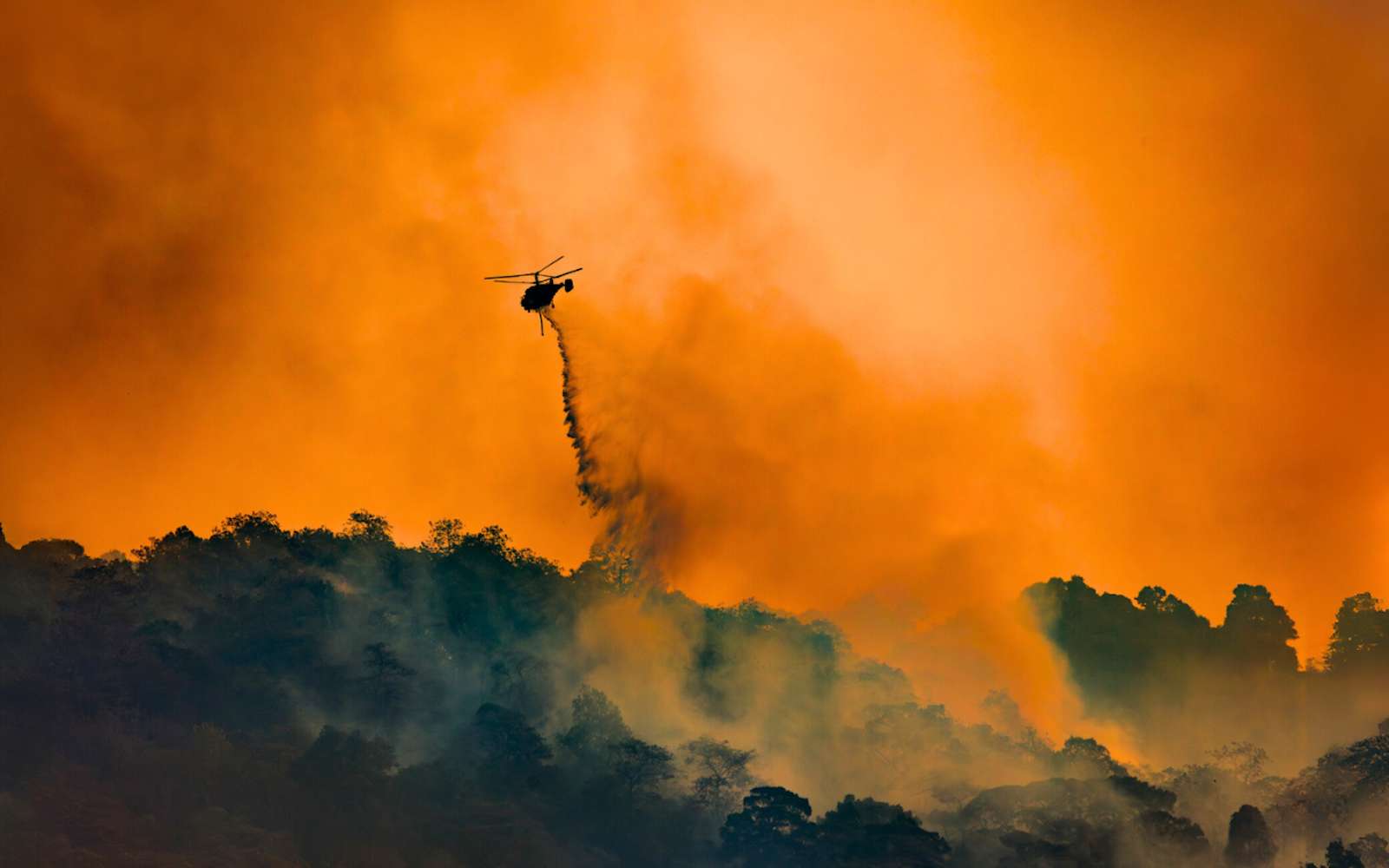 « On ne comprend plus rien » : ces températures anormales laissent les scientifiques sans réponse