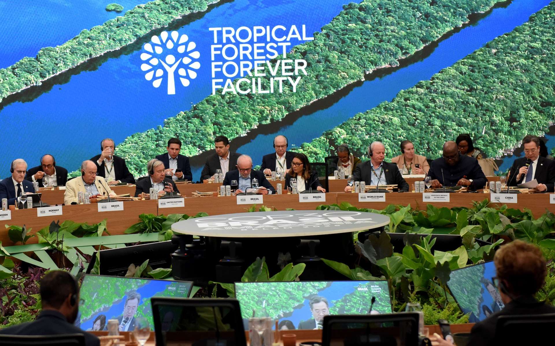 Un plan à 125 milliards pour sauver les forêts tropicales : la promesse qui peut enfin changer la donne