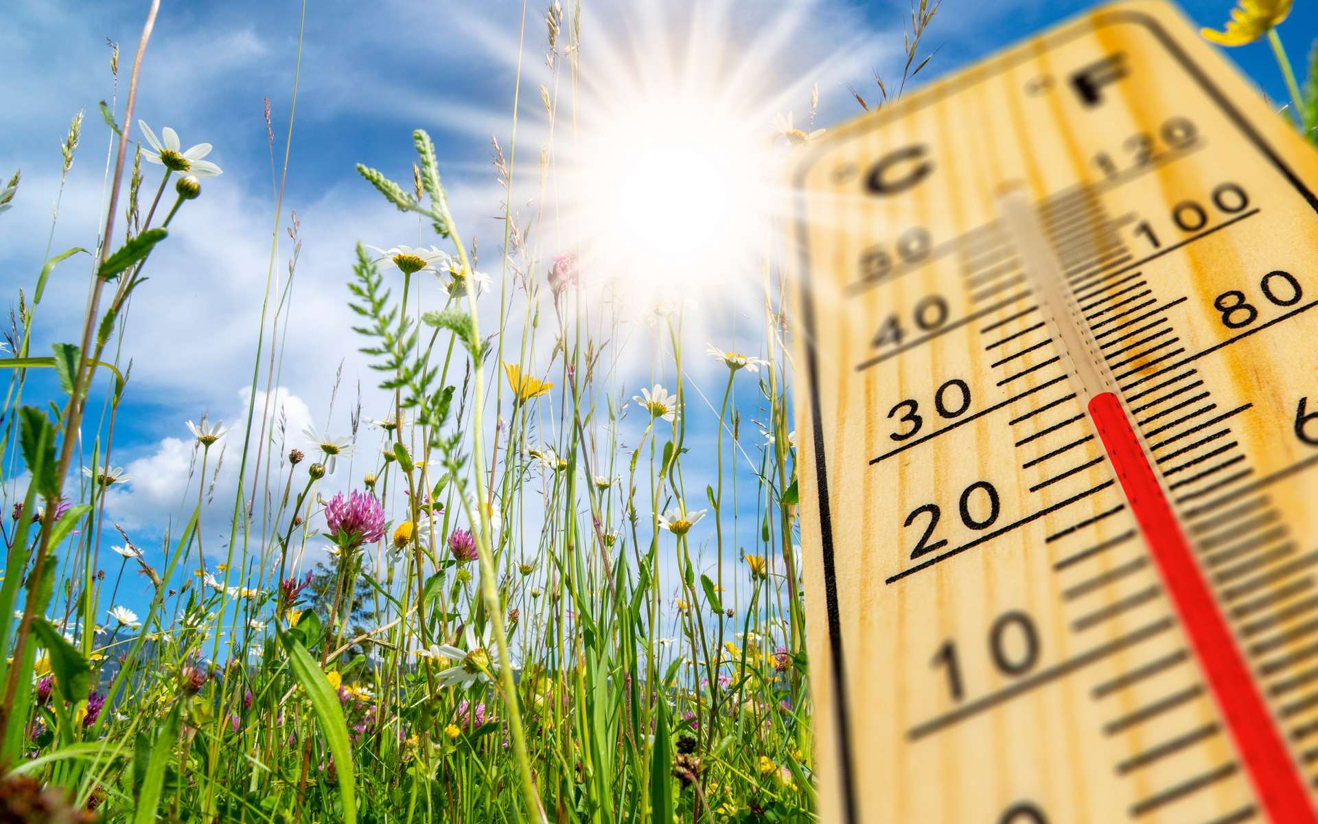 Depuis plus de 50 jours, la France ne revient pas à la normale… et ce n’est pas fini