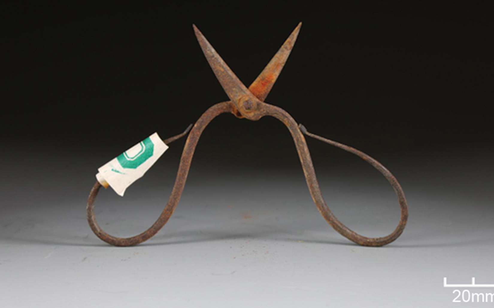 Ce poison retrouvé sur des outils Ming pourrait réécrire l'histoire de l'anesthésie