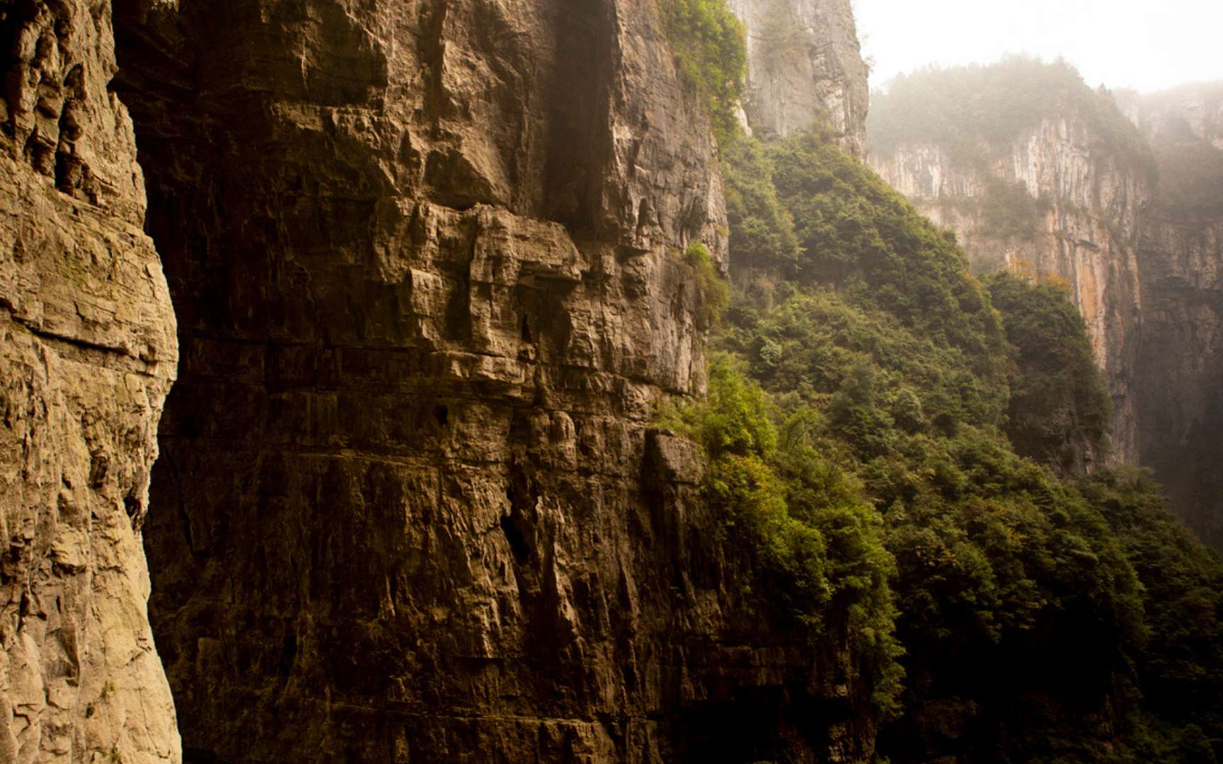 Voici la forêt cachée dans un gouffre chinois de 626 mètres de profondeur qui abrite des espèces rares