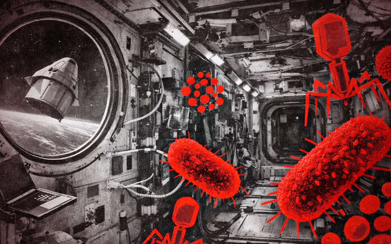 Étrange découverte : virus et bactéries mutent dans l’ISS… et ce qu’ils déclenchent n’a jamais été vu sur Terre