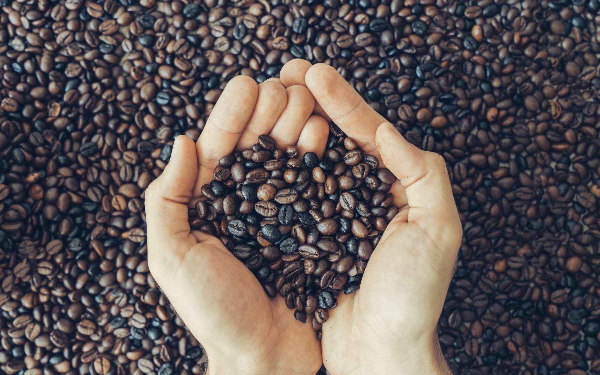 La transition agricole du café devient aussi un enjeu social et climatique