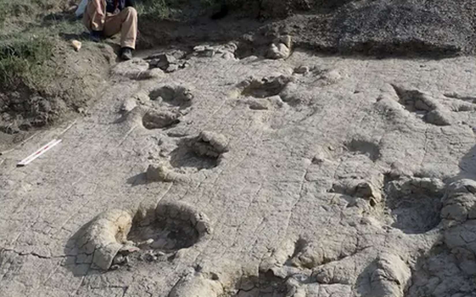 Ces empreintes géantes découvertes en Mongolie forcent les chercheurs à revoir l'histoire des dinosaures dans cette région