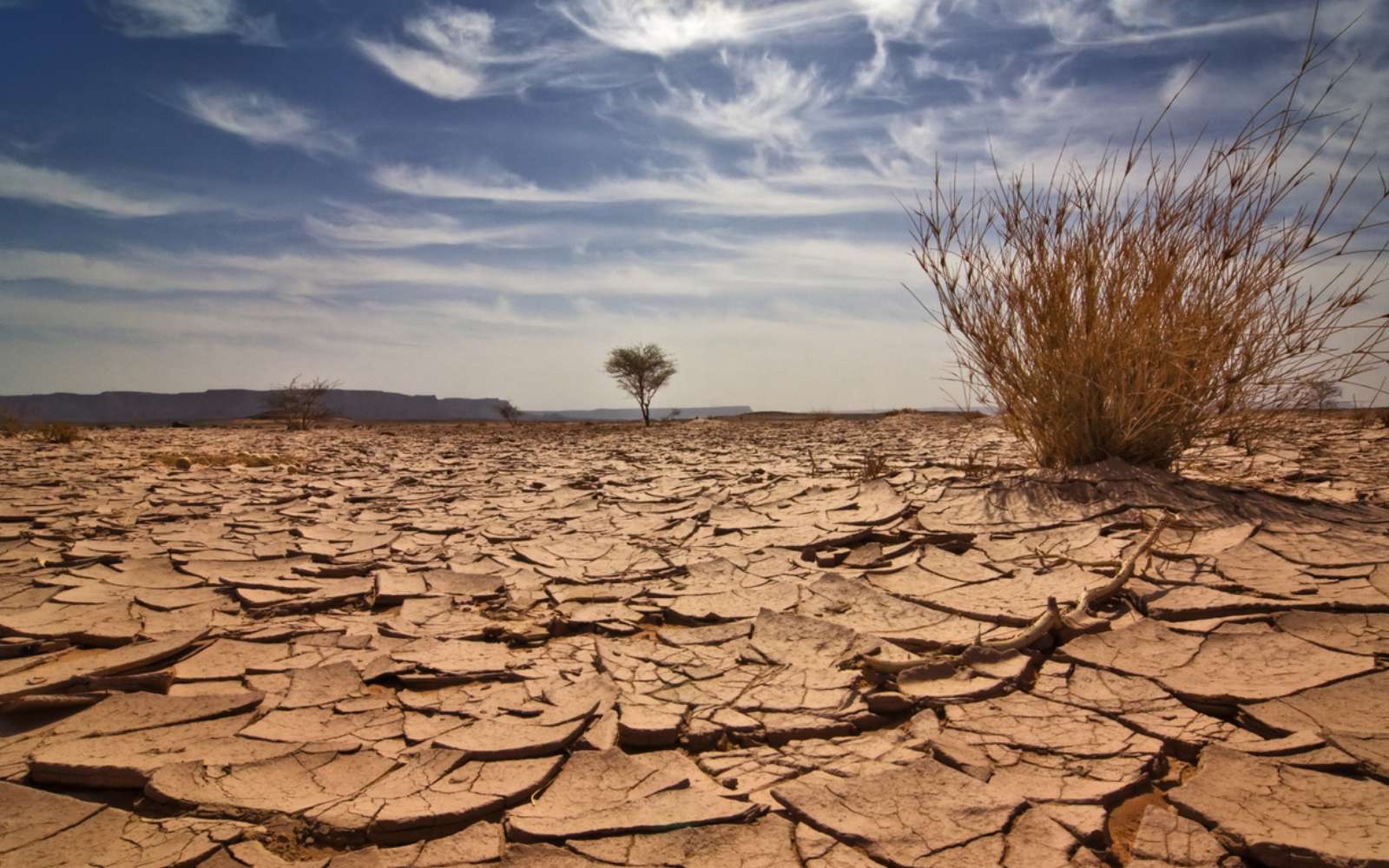 La moitié de la Planète bientôt touchée par des sécheresses extrêmes, selon une étude